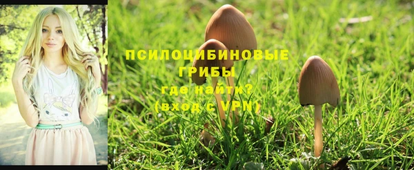 спайс Бугульма