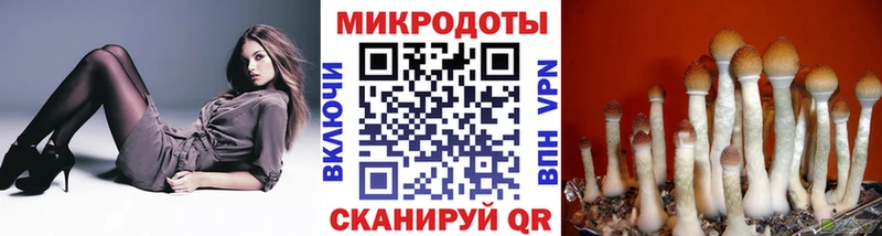 Псилоцибиновые грибы мухоморы  где купить наркоту  Константиновск 